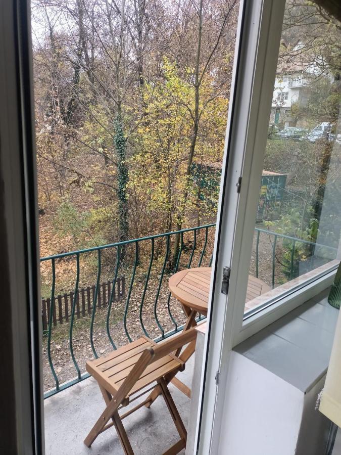 Vintage Gray Apartament Brasov Exterior photo