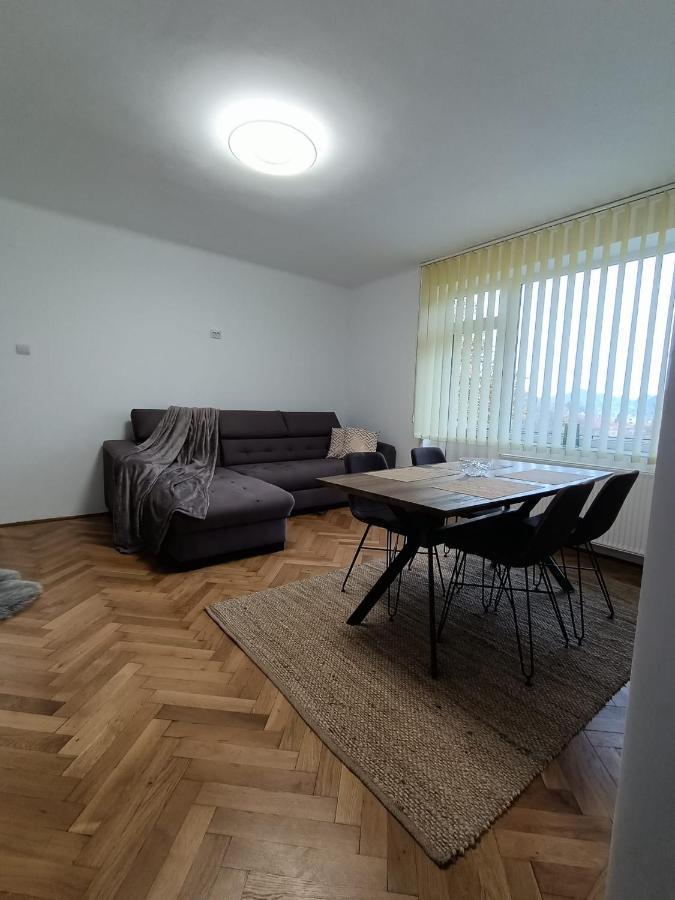 Vintage Gray Apartament Brasov Exterior photo