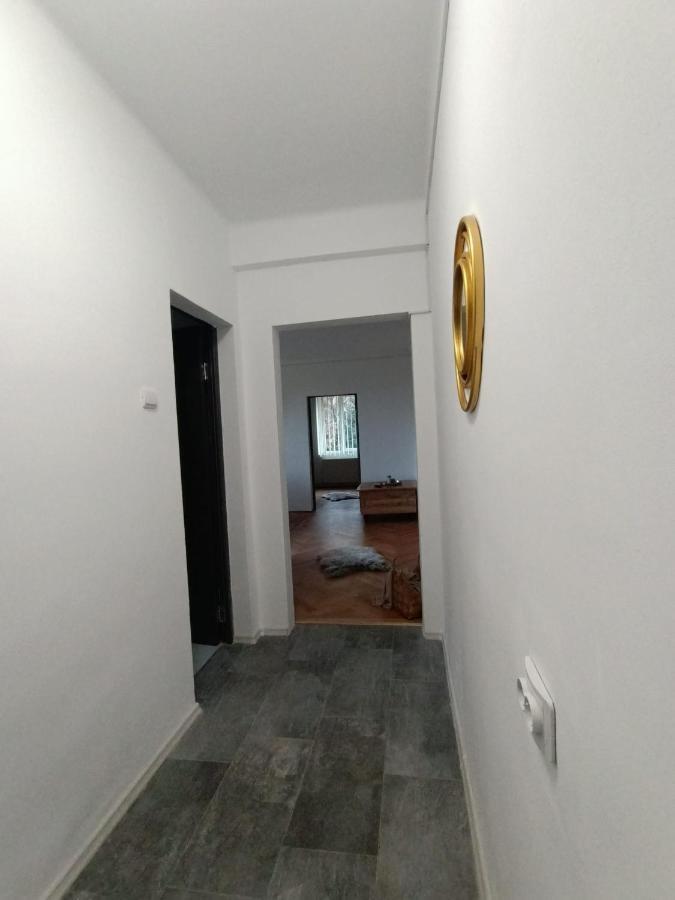 Vintage Gray Apartament Brasov Exterior photo