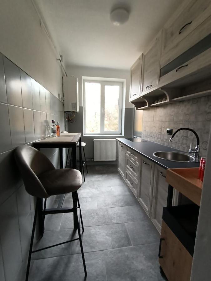 Vintage Gray Apartament Brasov Exterior photo